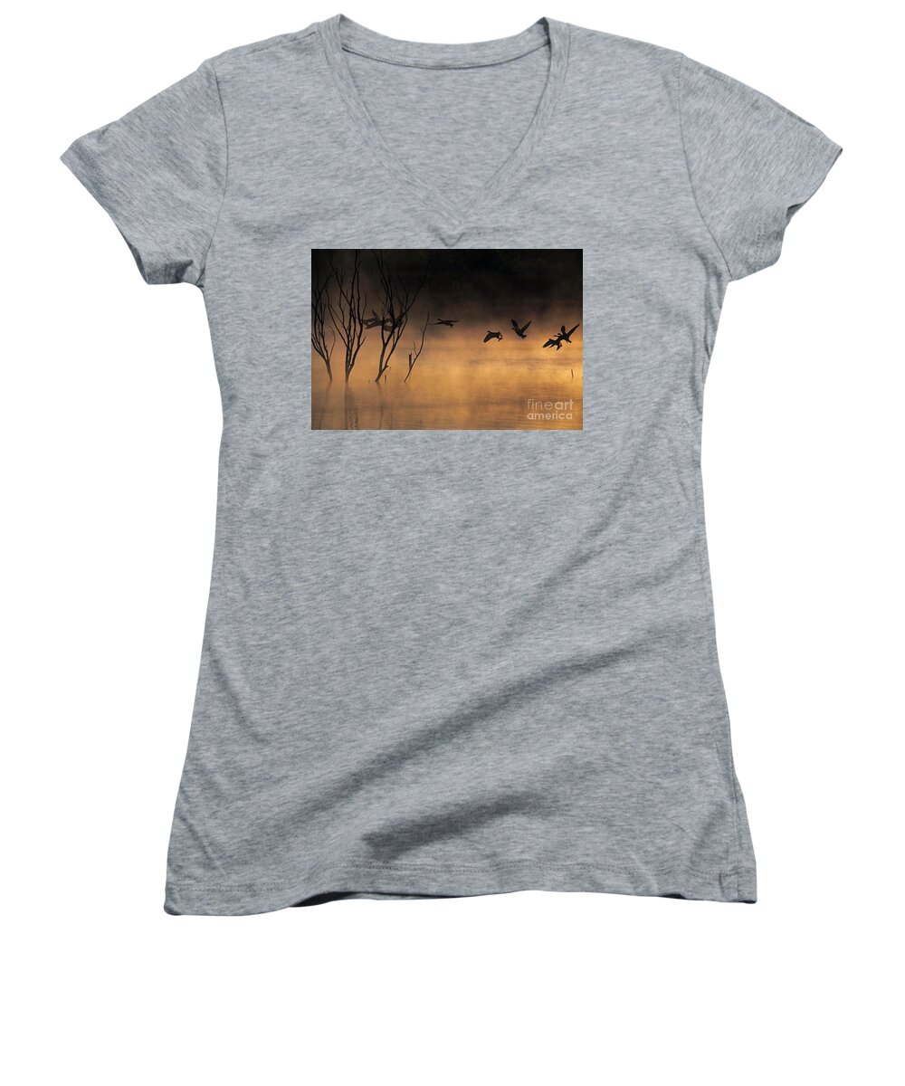 Lake Women's V-Neck featuring the photograph Early Morning Flight by Elizabeth Winter