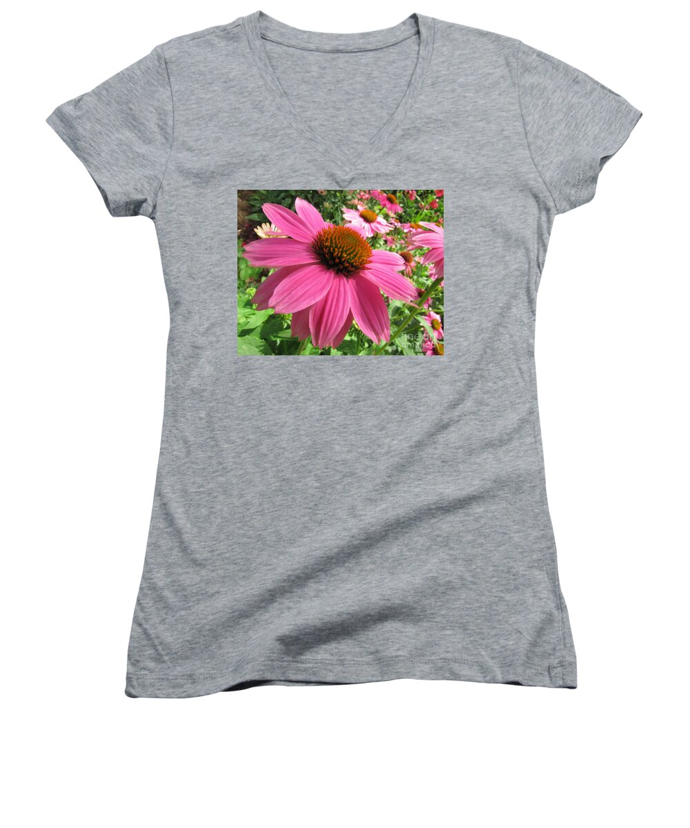 Echinacea Women's V-Neck featuring the photograph Echinacea Garden by Jennifer Wheatley Wolf
