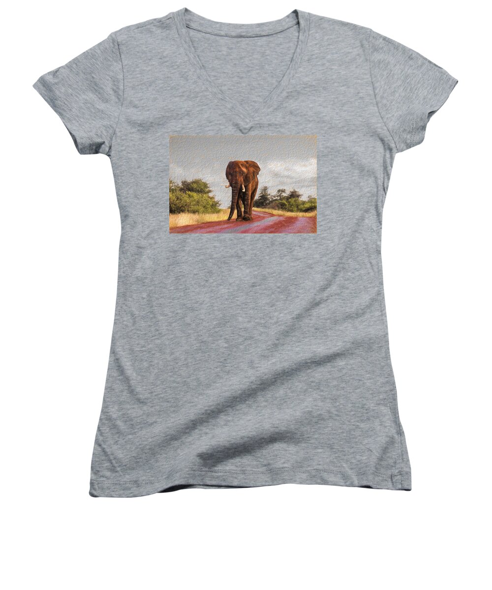Elephant Women's V-Neck featuring the photograph Elephant on a stroll by David Gleeson