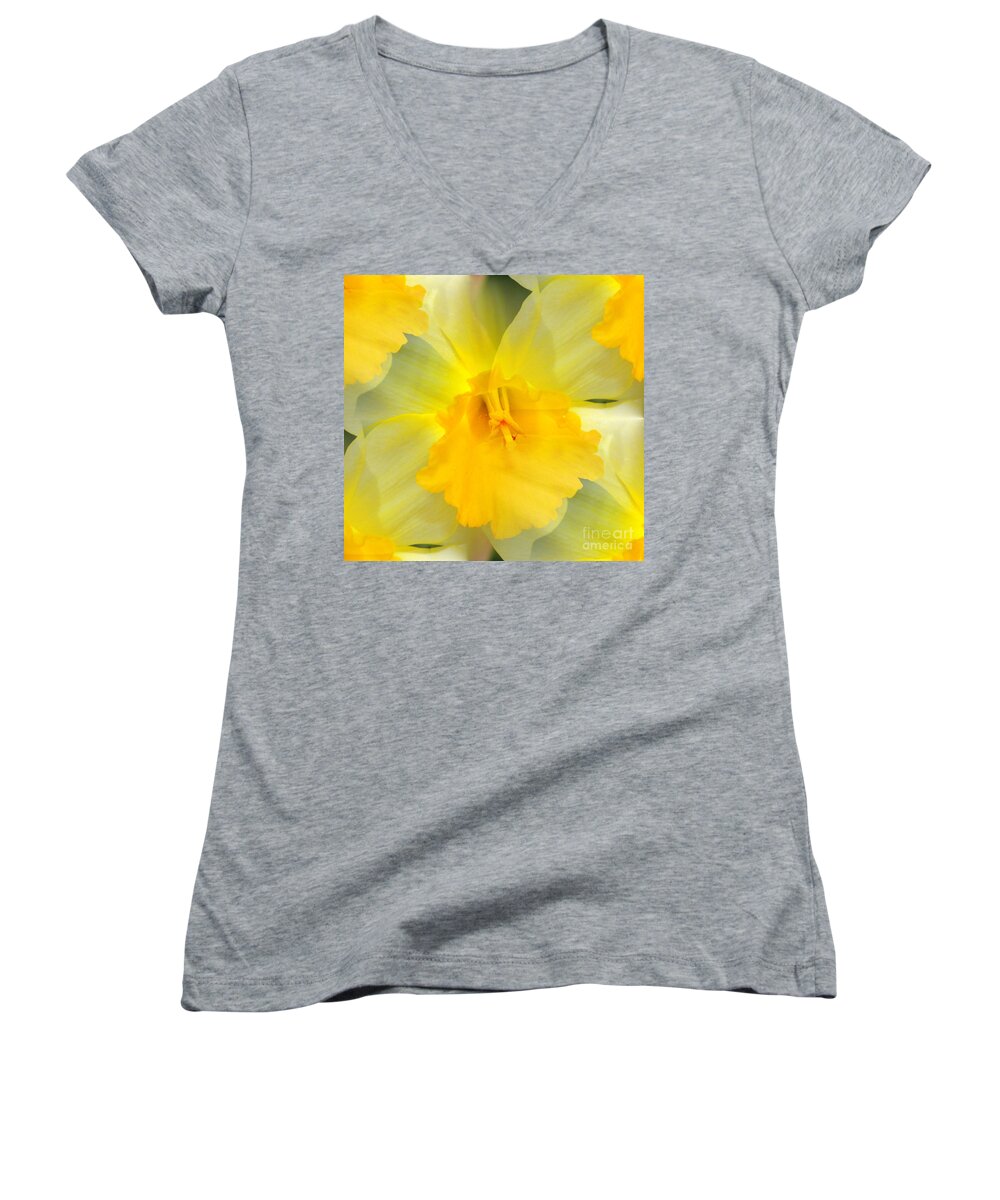 Daffodil Women's V-Neck featuring the photograph Endless Yellow Daffodil by Judy Palkimas