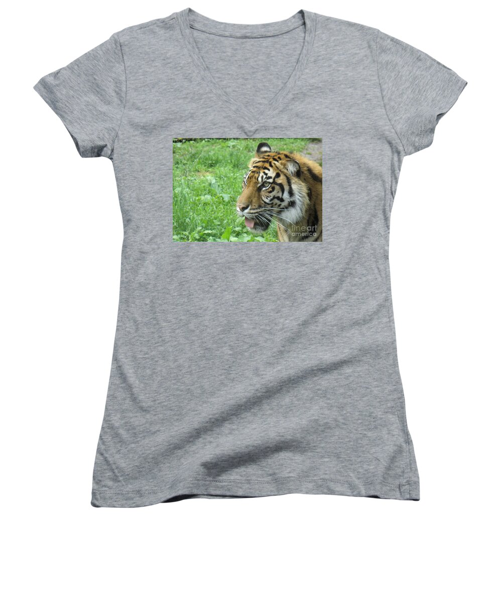 Animal Women's V-Neck featuring the photograph Eye of The Tiger by Lingfai Leung