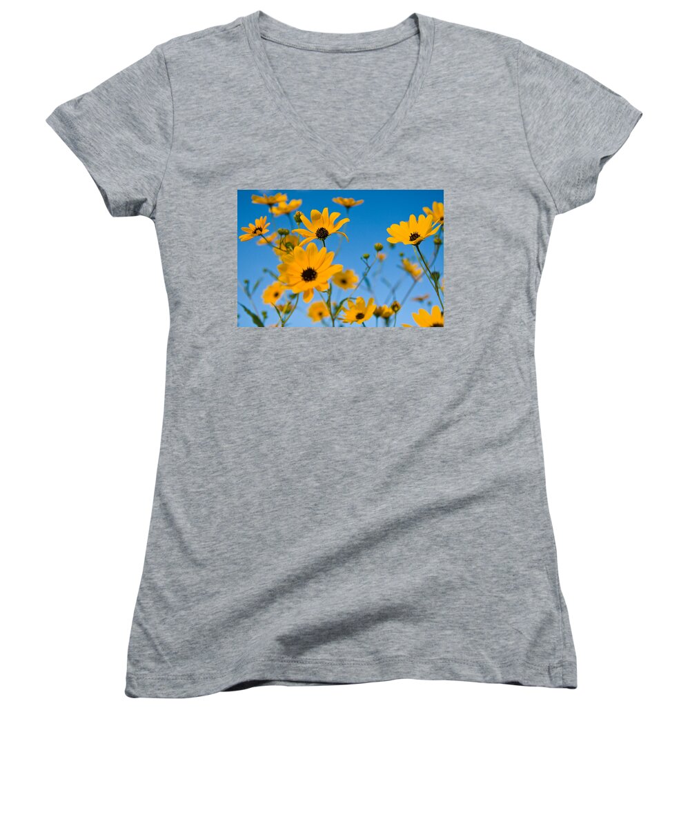 Florida Women's V-Neck featuring the photograph Fall Flowers by Stefan Mazzola