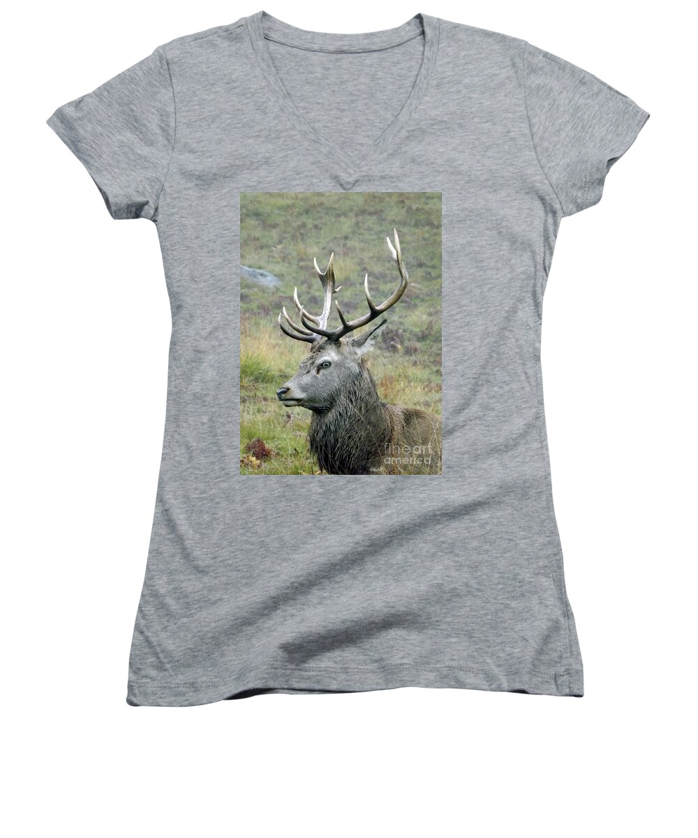 Deer Women's V-Neck featuring the photograph Stag Party The series Father To Be. by Linsey Williams