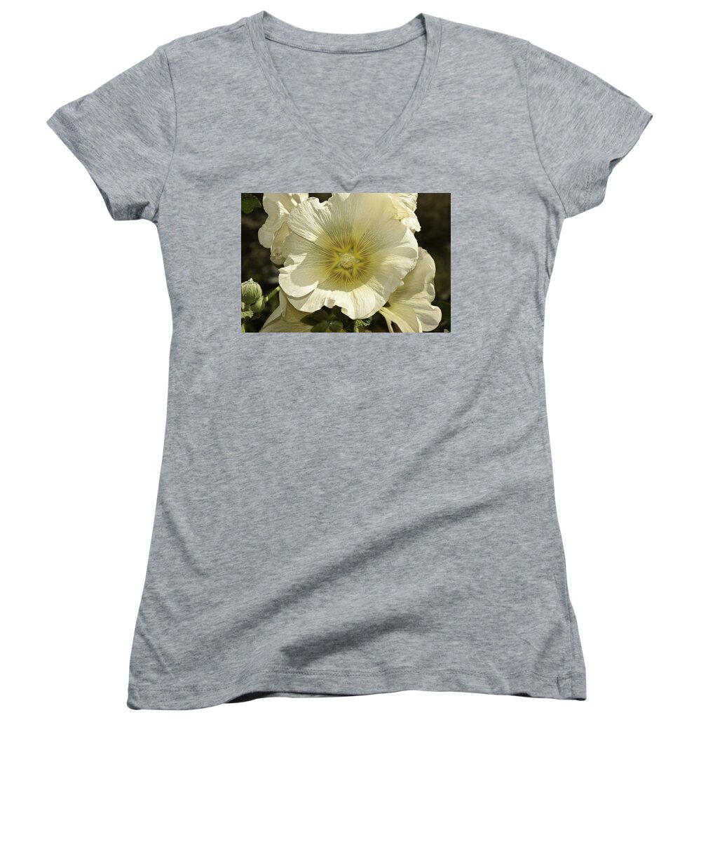 Beautiful Flower Women's V-Neck featuring the photograph Flower petals of a white flower by Ashish Agarwal