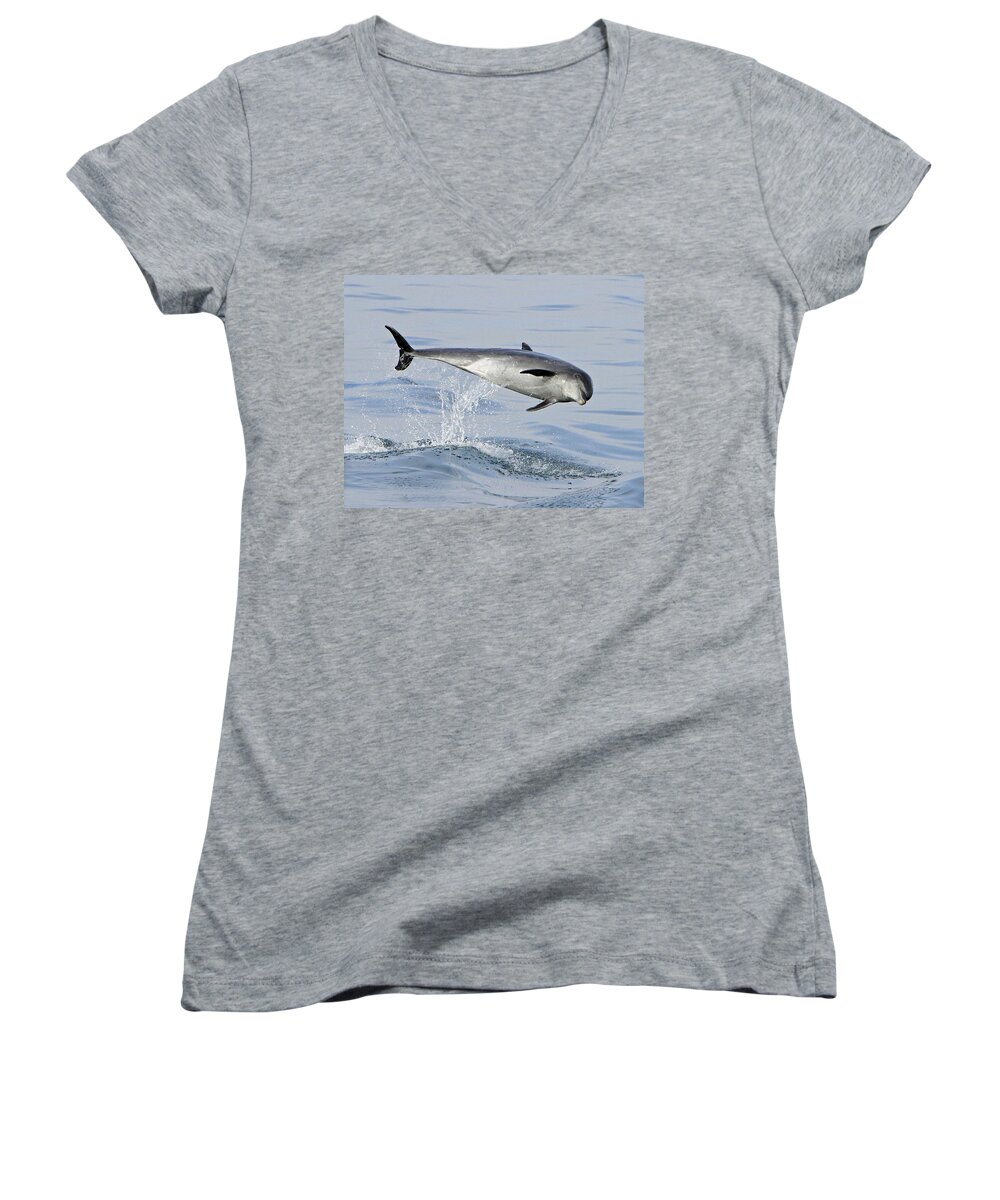 Bottlenose Dolphin Women's V-Neck featuring the photograph Flying Sideways by Shoal Hollingsworth