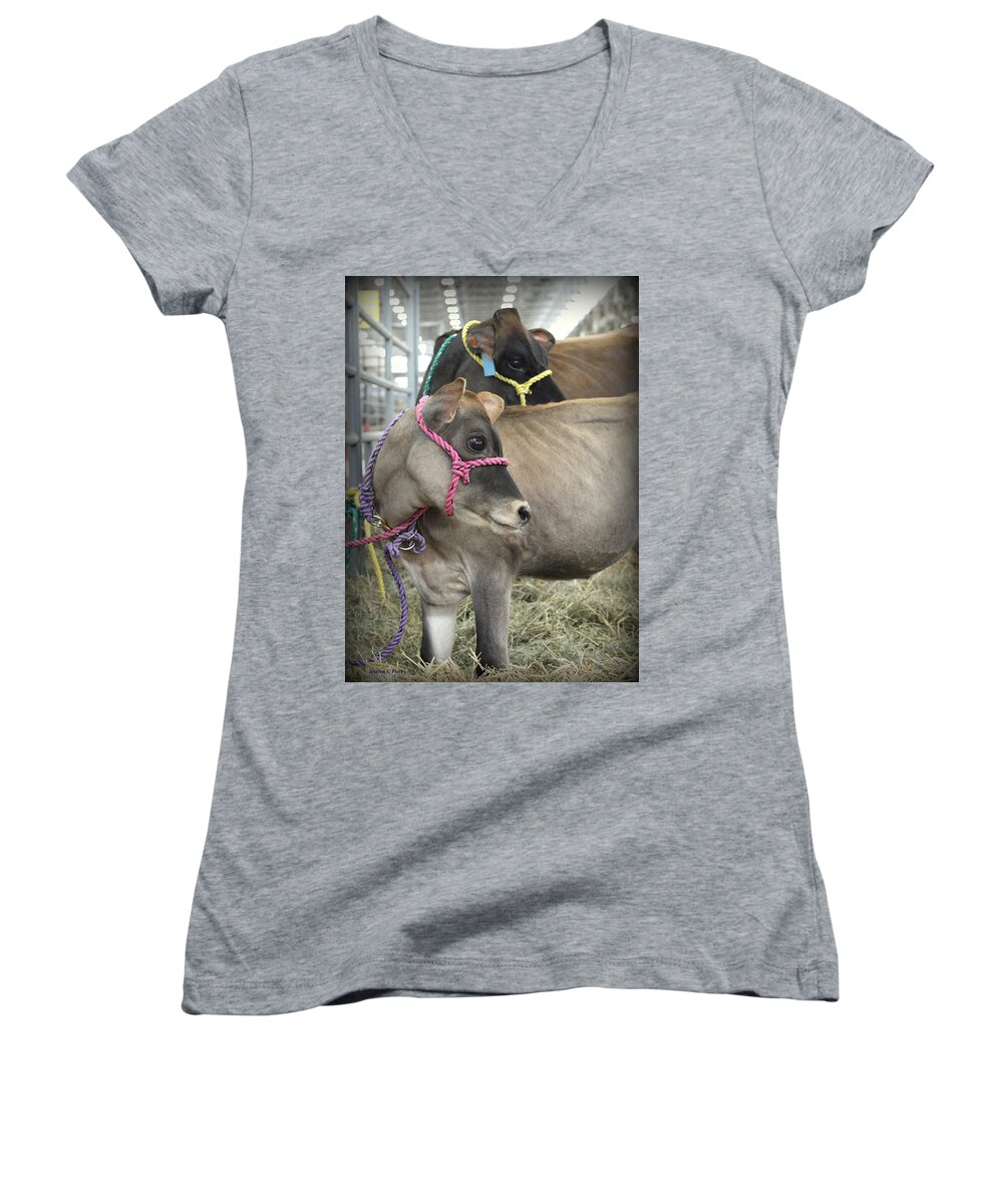 Calf Women's V-Neck featuring the photograph Following Mom's Lead by Andrea Platt