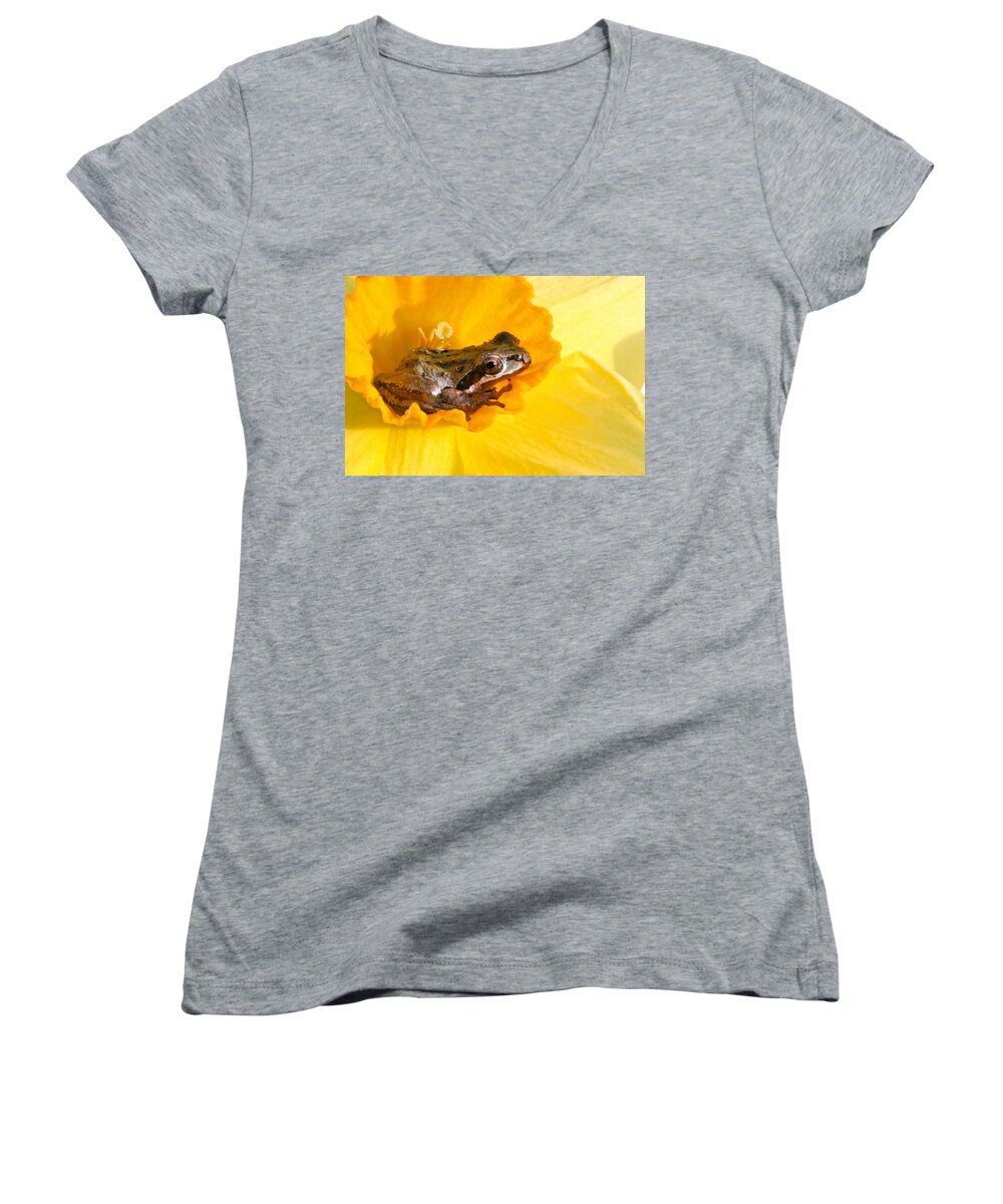 Frog In Daffodil Women's V-Neck featuring the photograph Frog and daffodil by Jean Noren