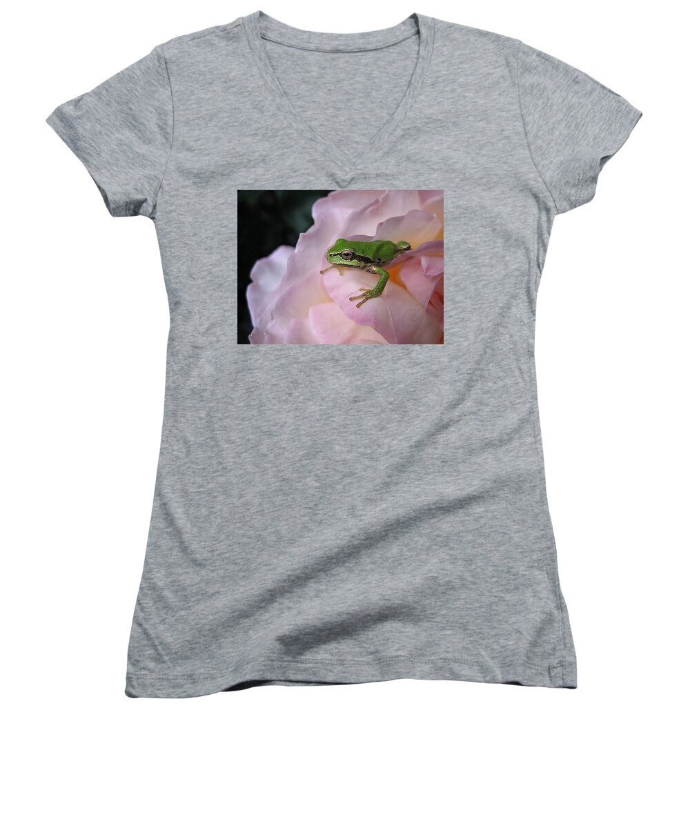Amphibian Women's V-Neck featuring the photograph Frog and Rose photo 3 by Cheryl Hoyle