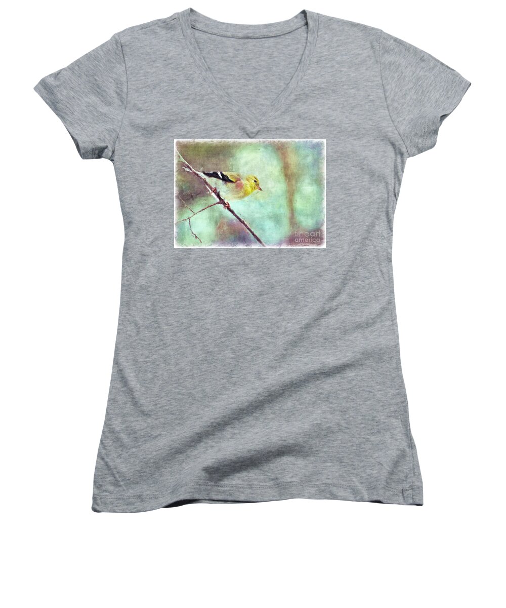 Yellow Women's V-Neck featuring the photograph Goldfinch with rosy shoulder - Digital paint I by Debbie Portwood