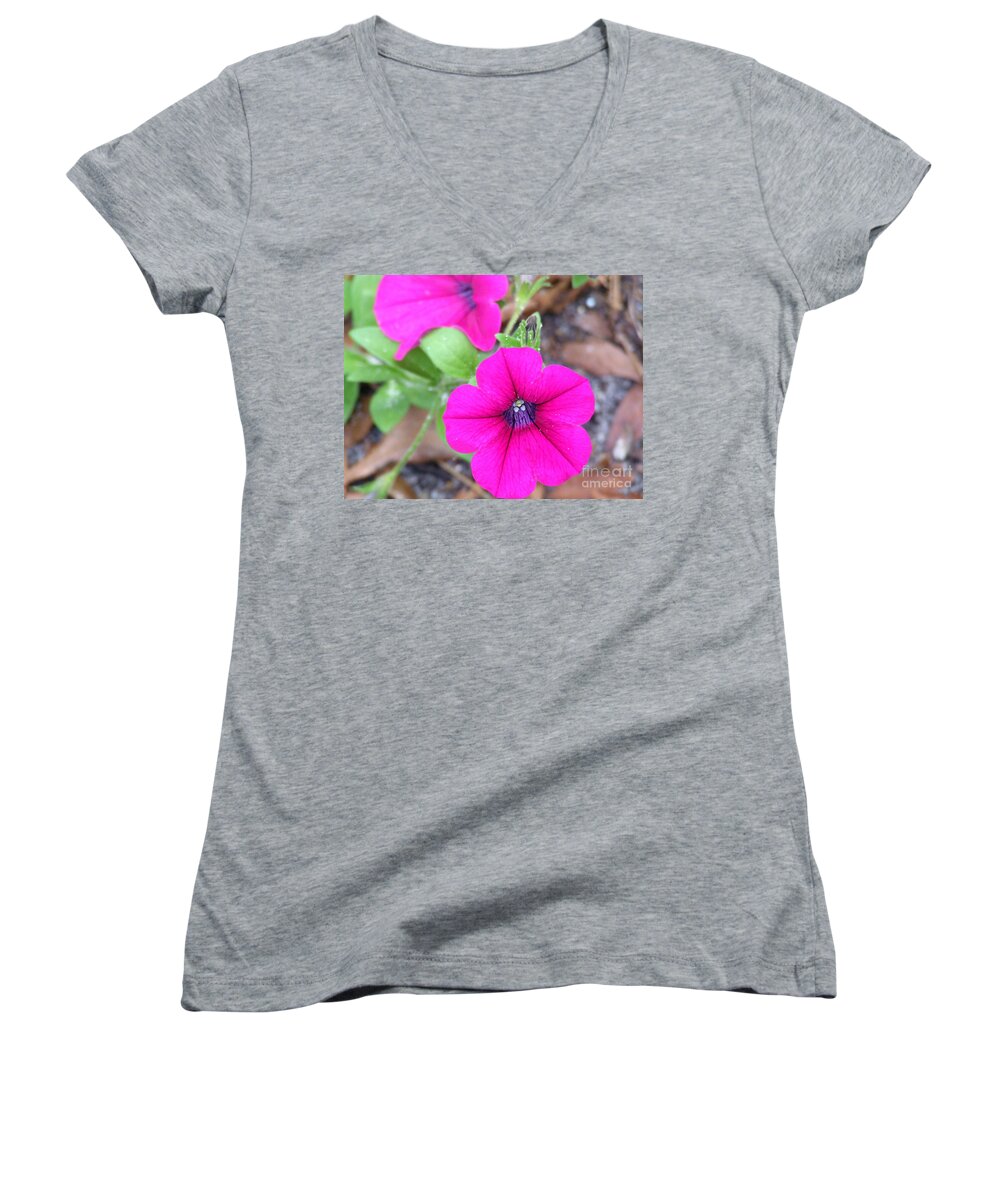 Pink Women's V-Neck featuring the photograph Good morning by Andrea Anderegg