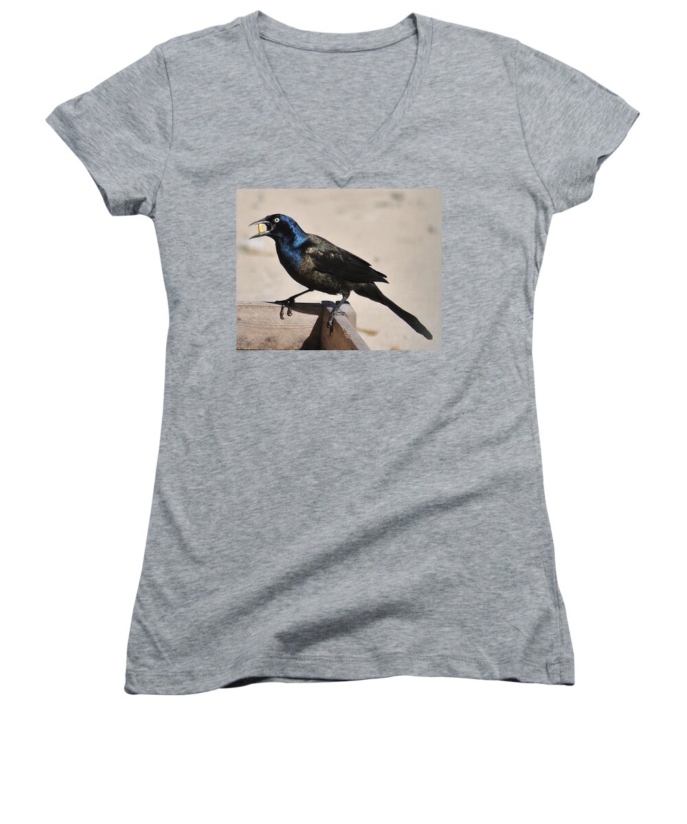Grackle Women's V-Neck featuring the photograph Grackle chow down by Gene Tatroe