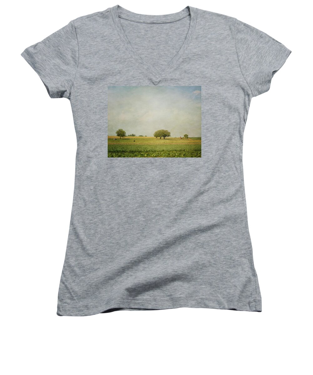 Cow Women's V-Neck featuring the photograph Grazing by Kim Hojnacki