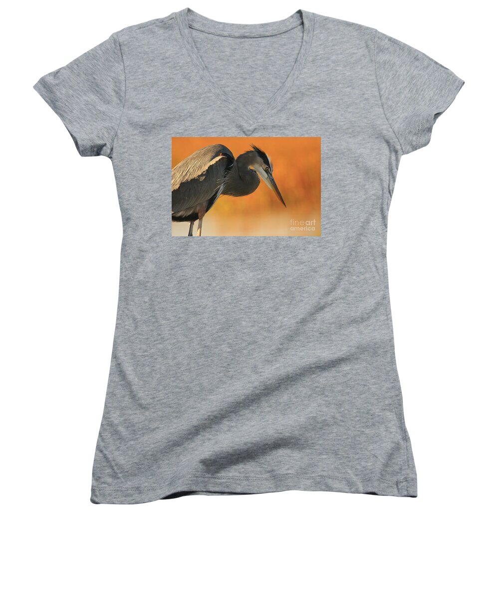 Animals Women's V-Neck featuring the photograph Great Blue Heron Focus by John F Tsumas