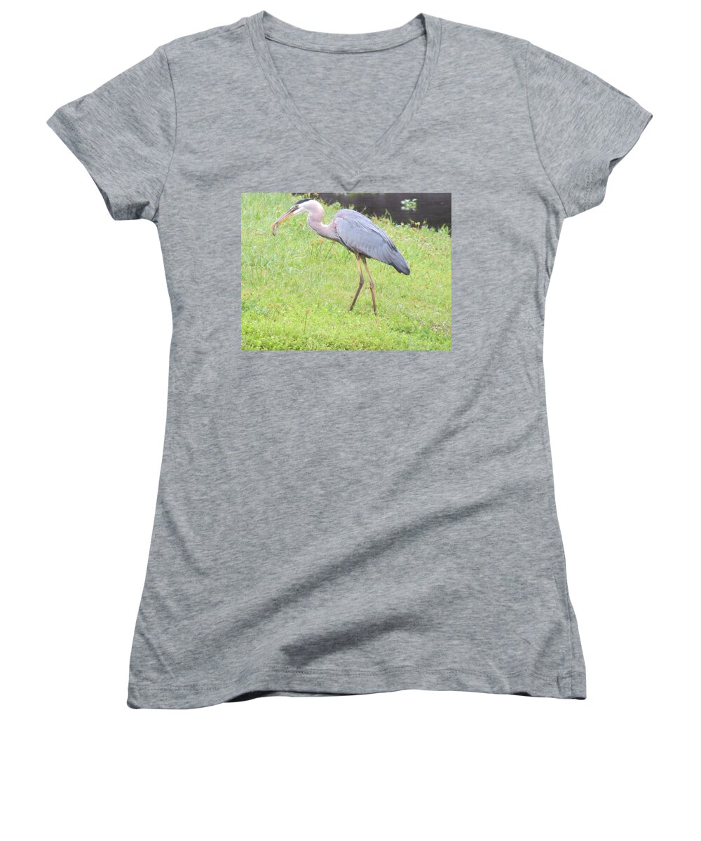 Landscape Women's V-Neck featuring the photograph Great Grey Heron Lunching by Fortunate Findings Shirley Dickerson