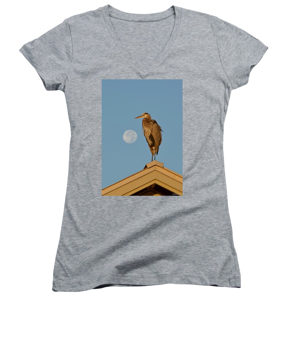 Nature Women's V-Neck featuring the photograph Harry the Heron Ponders a Trip to the Full Moon by Jeff at JSJ Photography