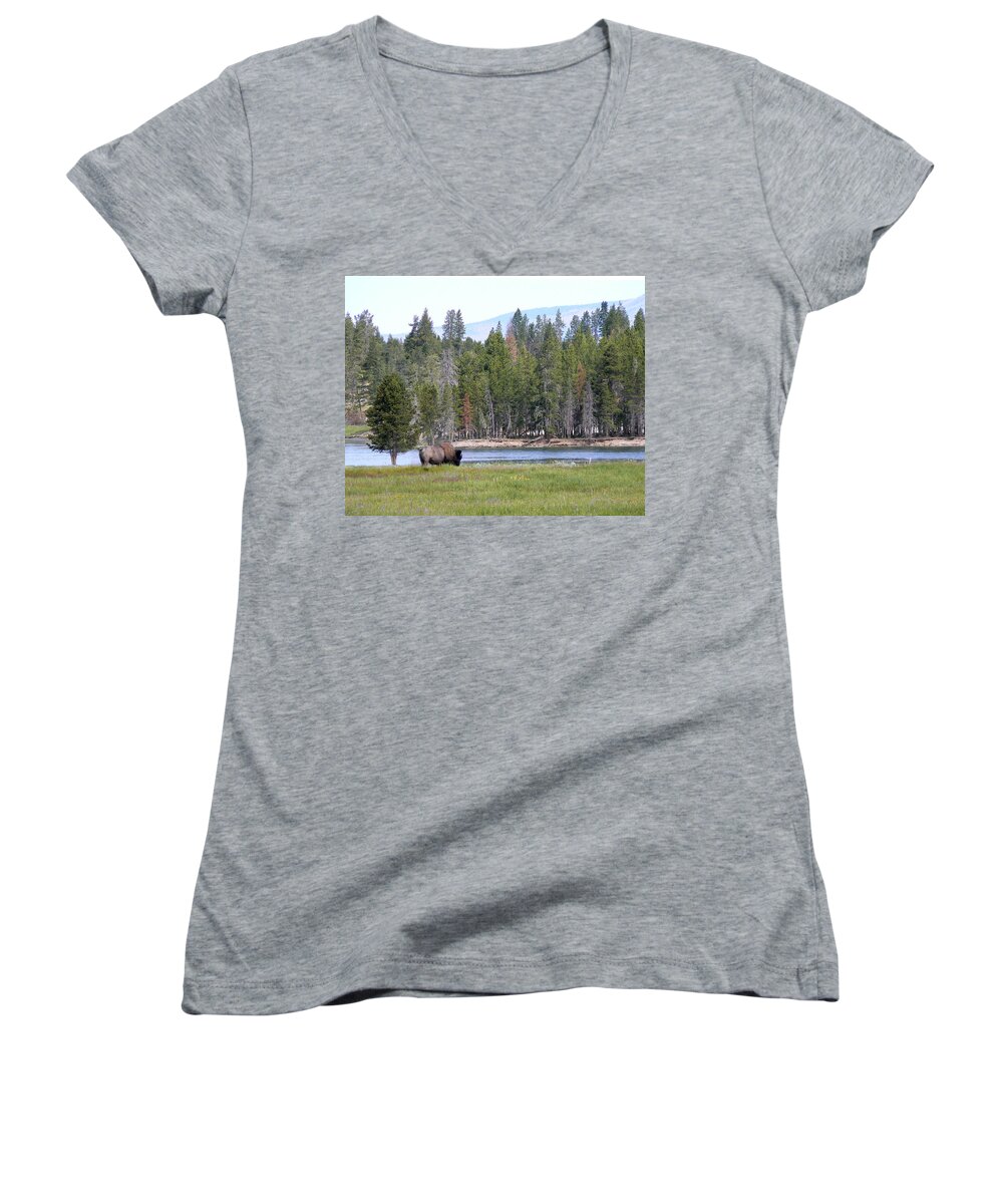 Bison Women's V-Neck featuring the photograph Hayden Valley Bison by Laurel Powell