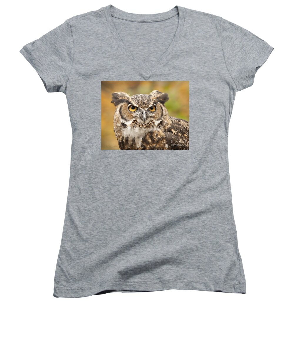 Owl Women's V-Neck featuring the photograph Here's Looking at You by Carol Lynn Coronios