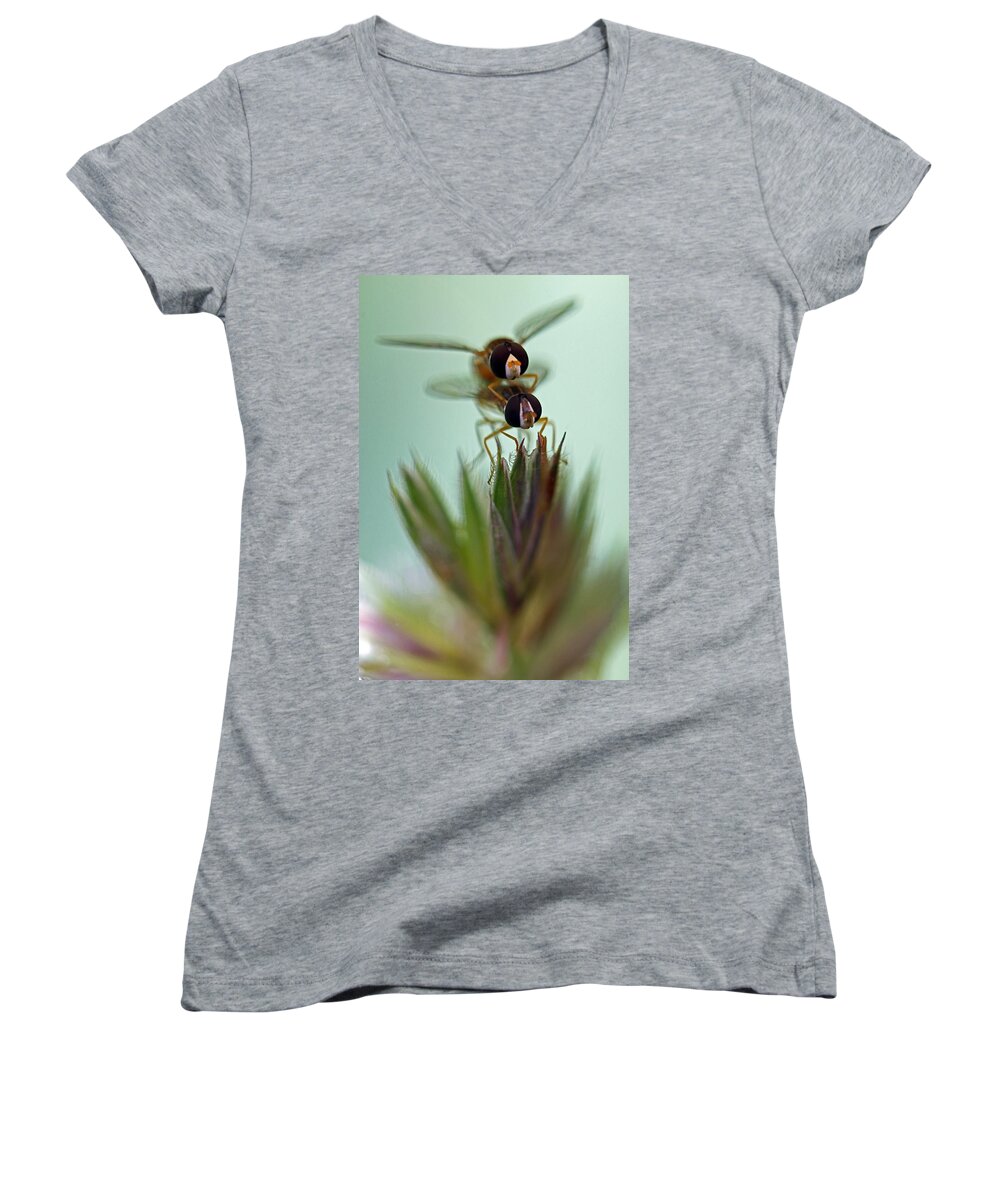Insects Women's V-Neck featuring the photograph Hover Bugs by Jennifer Robin