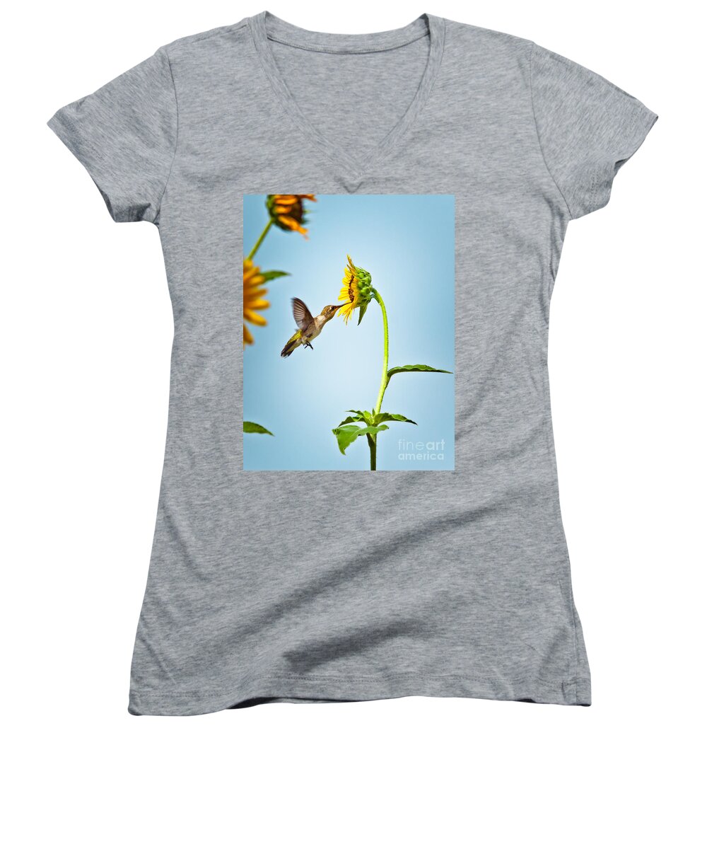 Animal Women's V-Neck featuring the photograph Hummingbird At Sunflower by Robert Frederick