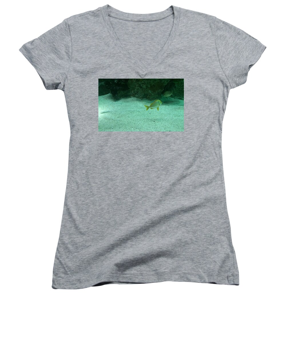 Fish Women's V-Neck featuring the photograph I Sea you by Chris W Photography AKA Christian Wilson