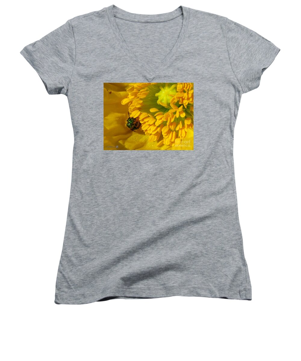 Mccombie Women's V-Neck featuring the photograph Iceland Poppy Pollination by J McCombie