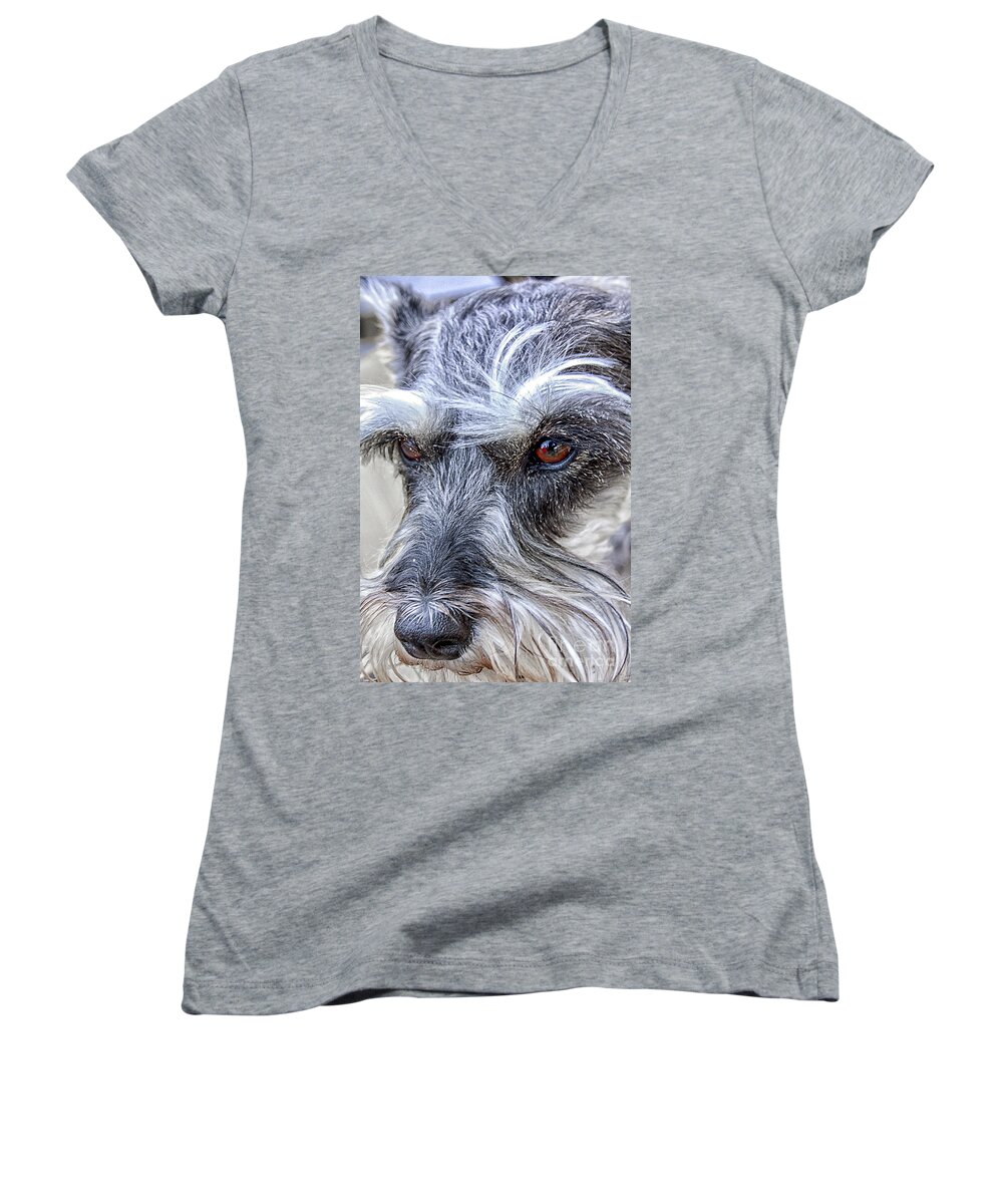 Dog Women's V-Neck featuring the digital art I'm Here by Georgianne Giese