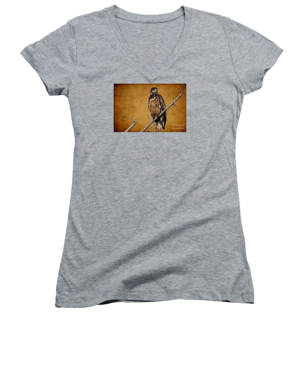 Texture Women's V-Neck featuring the photograph Immature on Leather by Bob Hislop