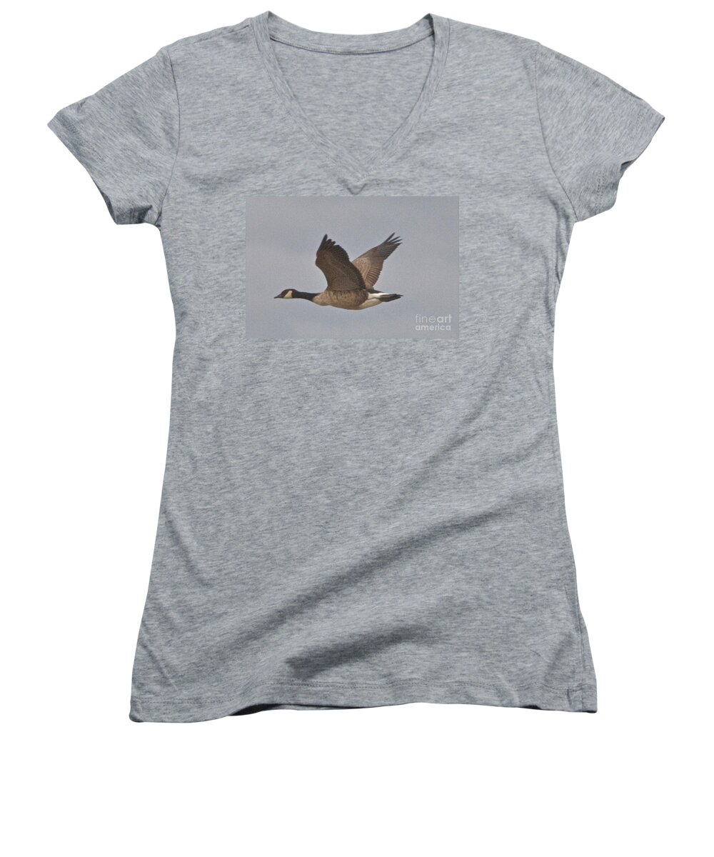 Canadian Geese Women's V-Neck featuring the photograph In Flight by William Norton