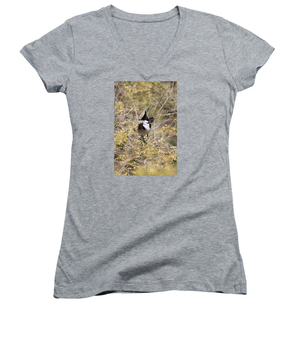 Red Whiskered Bulbul Women's V-Neck featuring the photograph In The Moment by Amy Gallagher