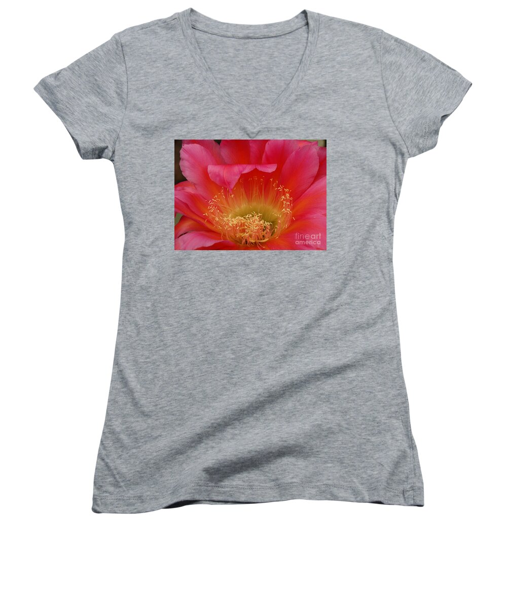 Prickly Pear Cactus Women's V-Neck featuring the photograph In the Pink by Vivian Christopher