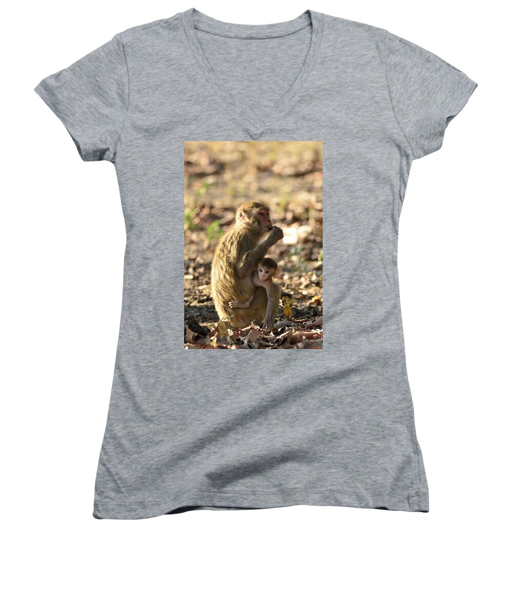 Monkey Women's V-Neck featuring the photograph Inquisitive by Fotosas Photography