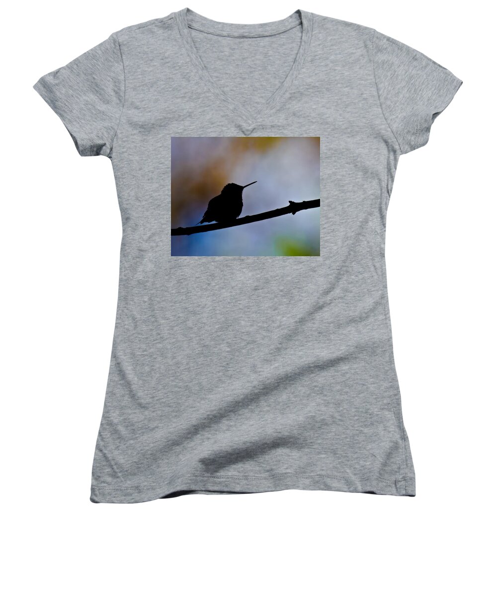 Ruby-throat Hummingbird Women's V-Neck featuring the photograph Just Chillin by Robert L Jackson