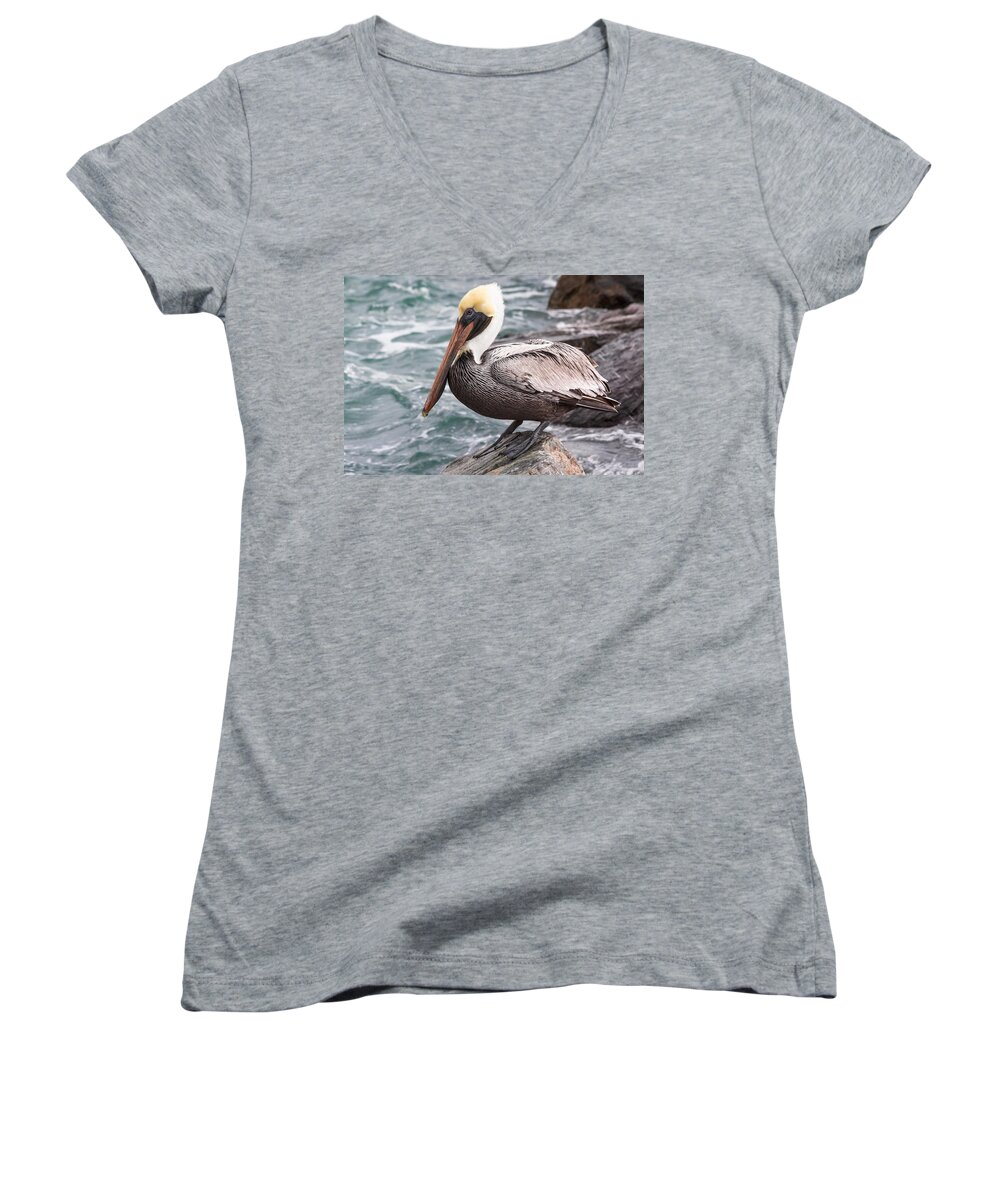 Beak Women's V-Neck featuring the photograph Just Hanging by Ed Gleichman