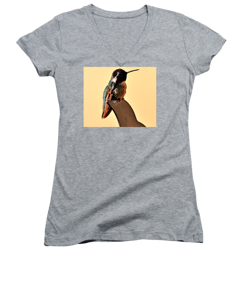 Hummingbird Women's V-Neck featuring the photograph Juvenile Rufus Hummingbird Sitting It Out by Jay Milo
