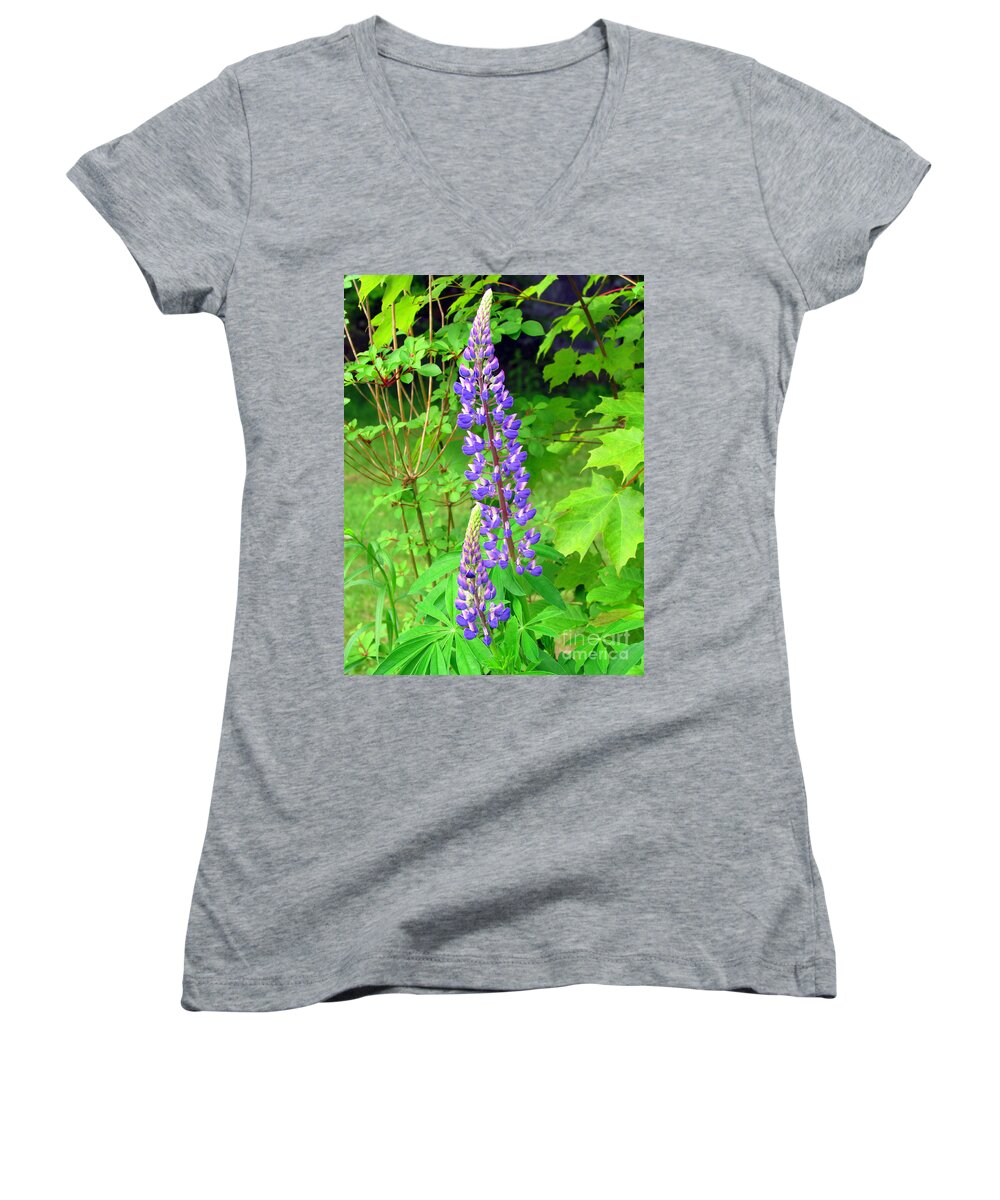 Lupine Women's V-Neck featuring the photograph Lady Lupine by Elizabeth Dow