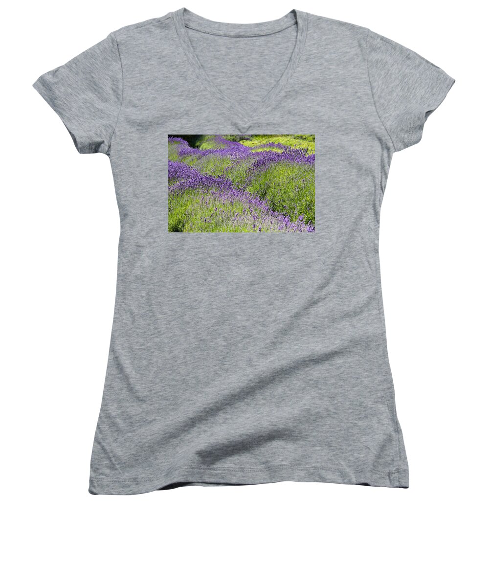 Lavender Women's V-Neck featuring the photograph Lavender Day by Kathy Bassett