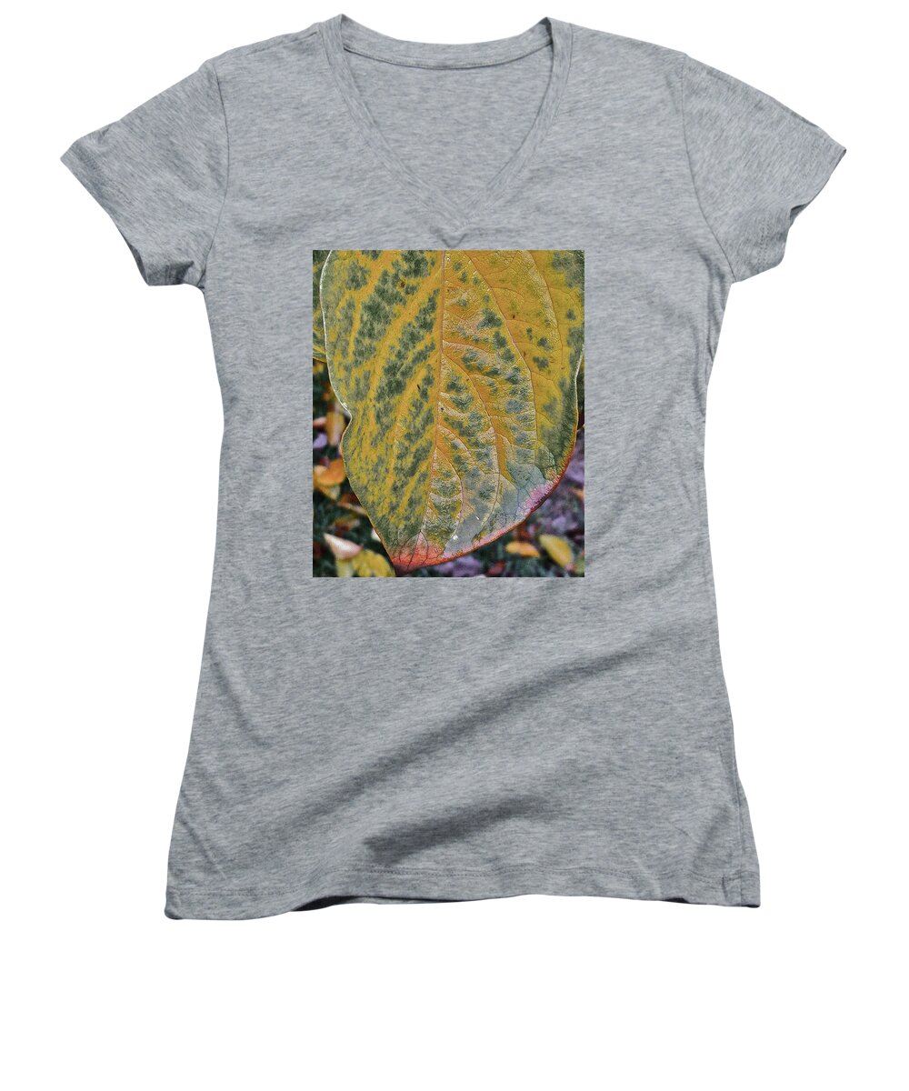 Leaves Women's V-Neck featuring the photograph Leaf After Rain by Bill Owen