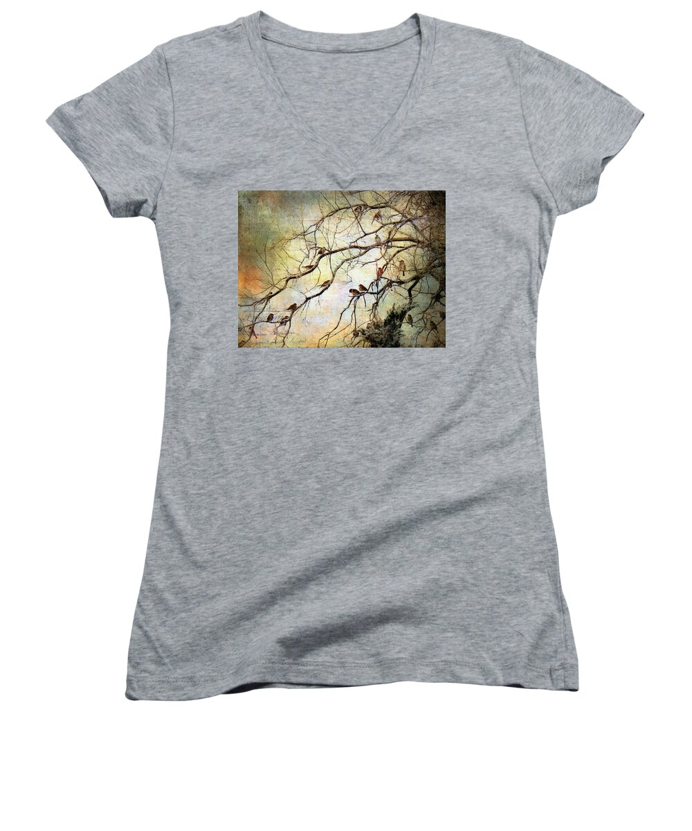 Tiny Birds Women's V-Neck featuring the painting Les Petits Oiseaux by Barbara Chichester
