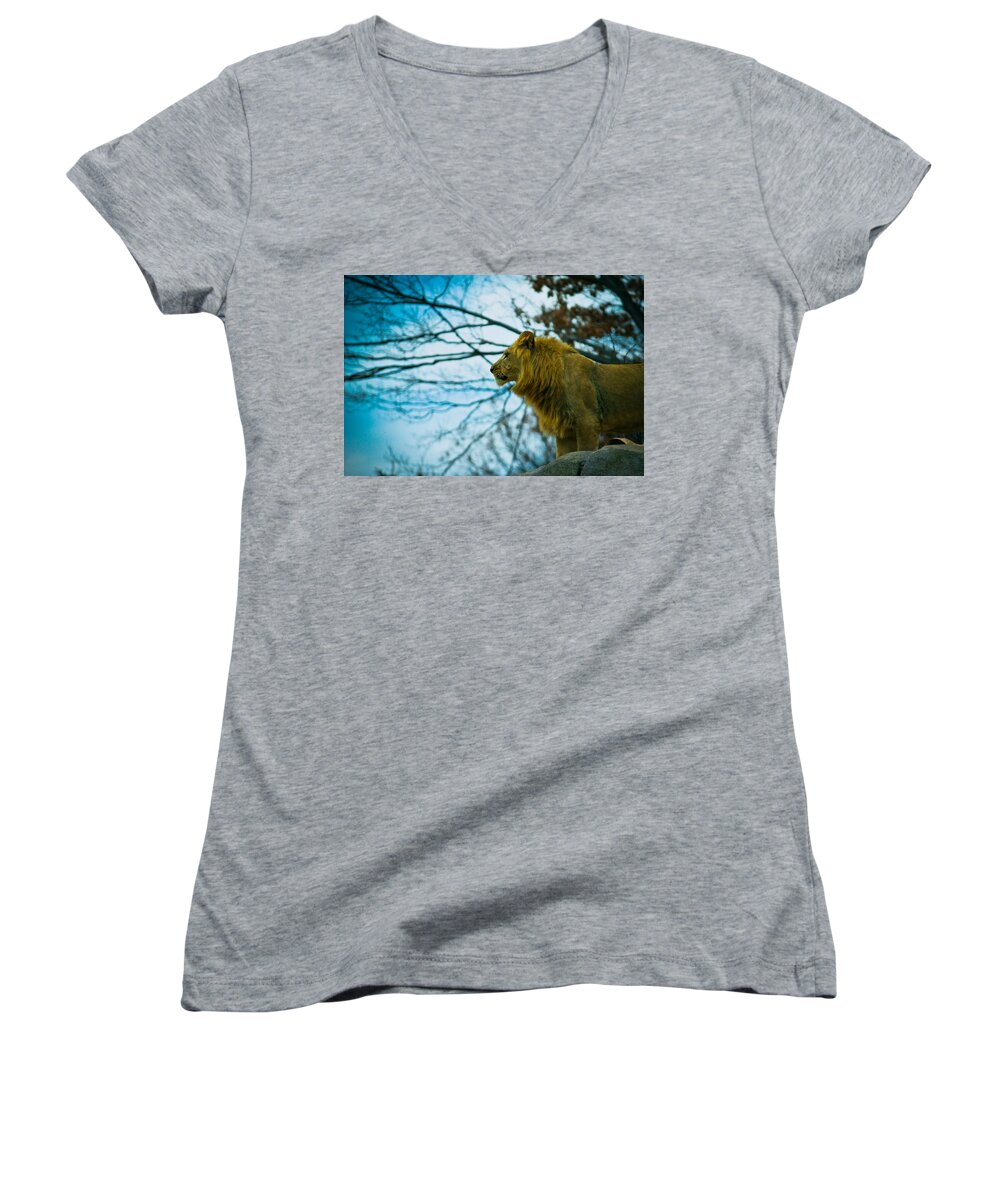 Lion Women's V-Neck featuring the photograph Lion King by Sara Frank