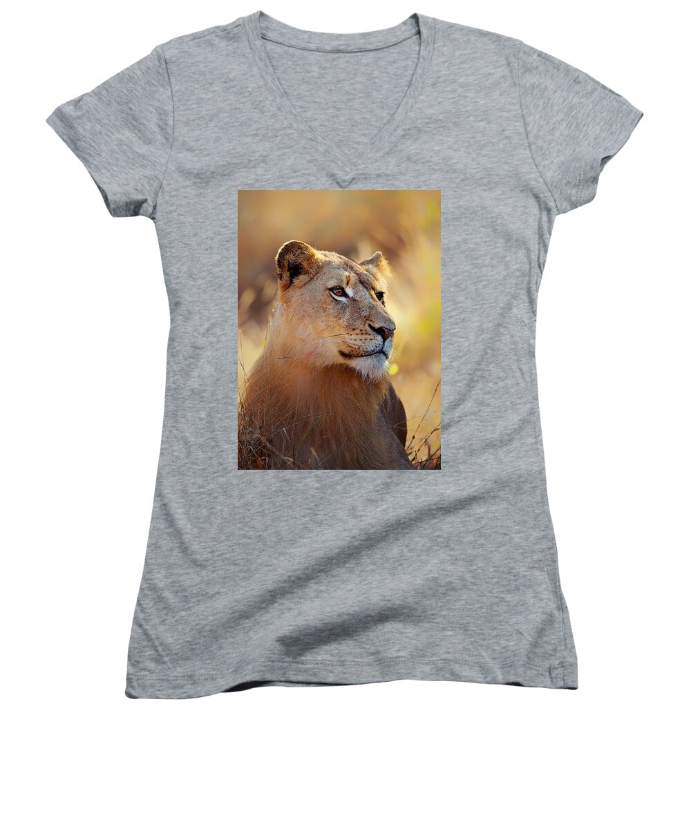 Lion Women's V-Neck featuring the photograph Lioness portrait lying in grass by Johan Swanepoel