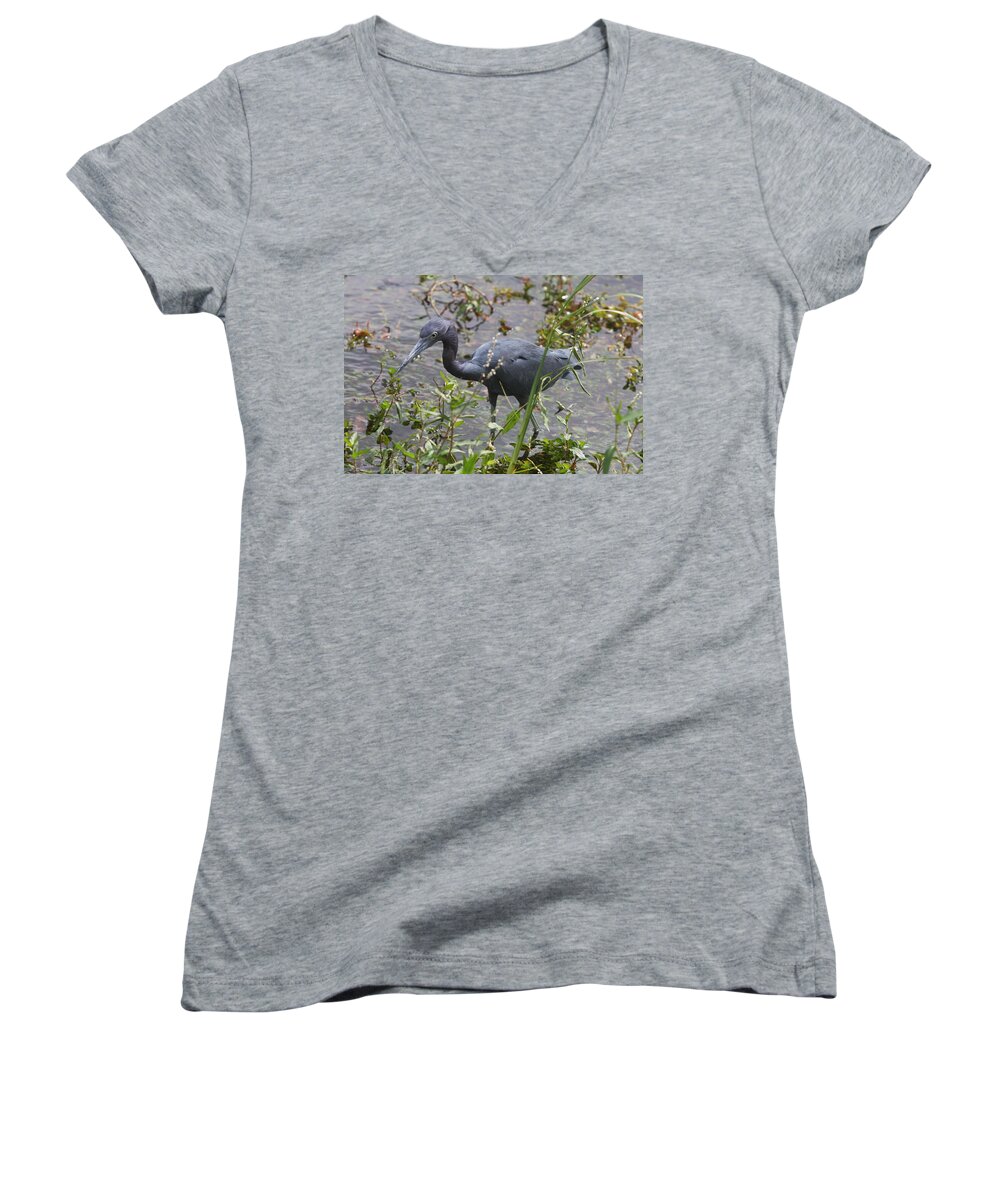 Heron Women's V-Neck featuring the photograph Little Blue Heron - Waiting For Prey by Christiane Schulze Art And Photography