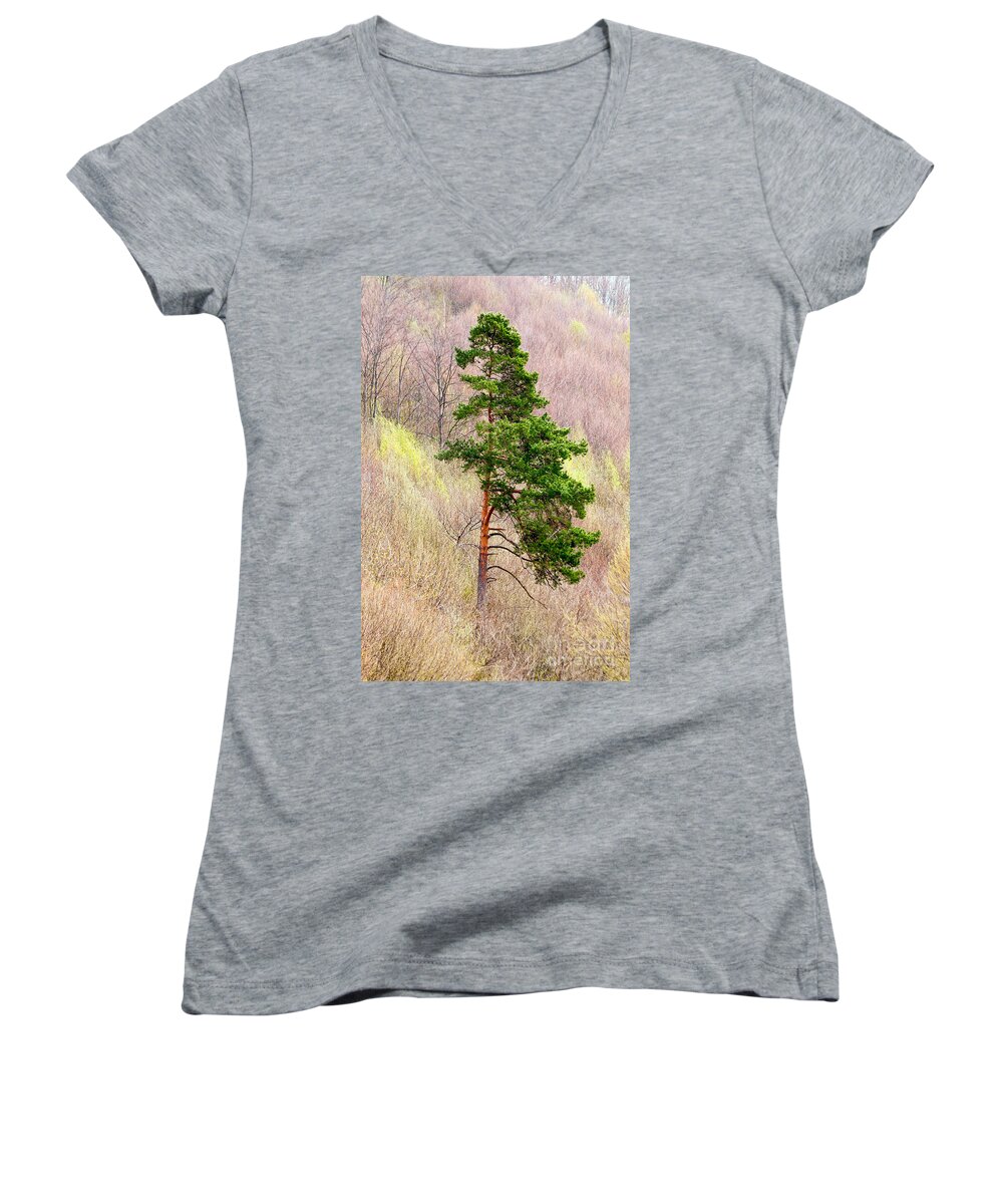 Pine Women's V-Neck featuring the photograph Lone Pine by Les Palenik