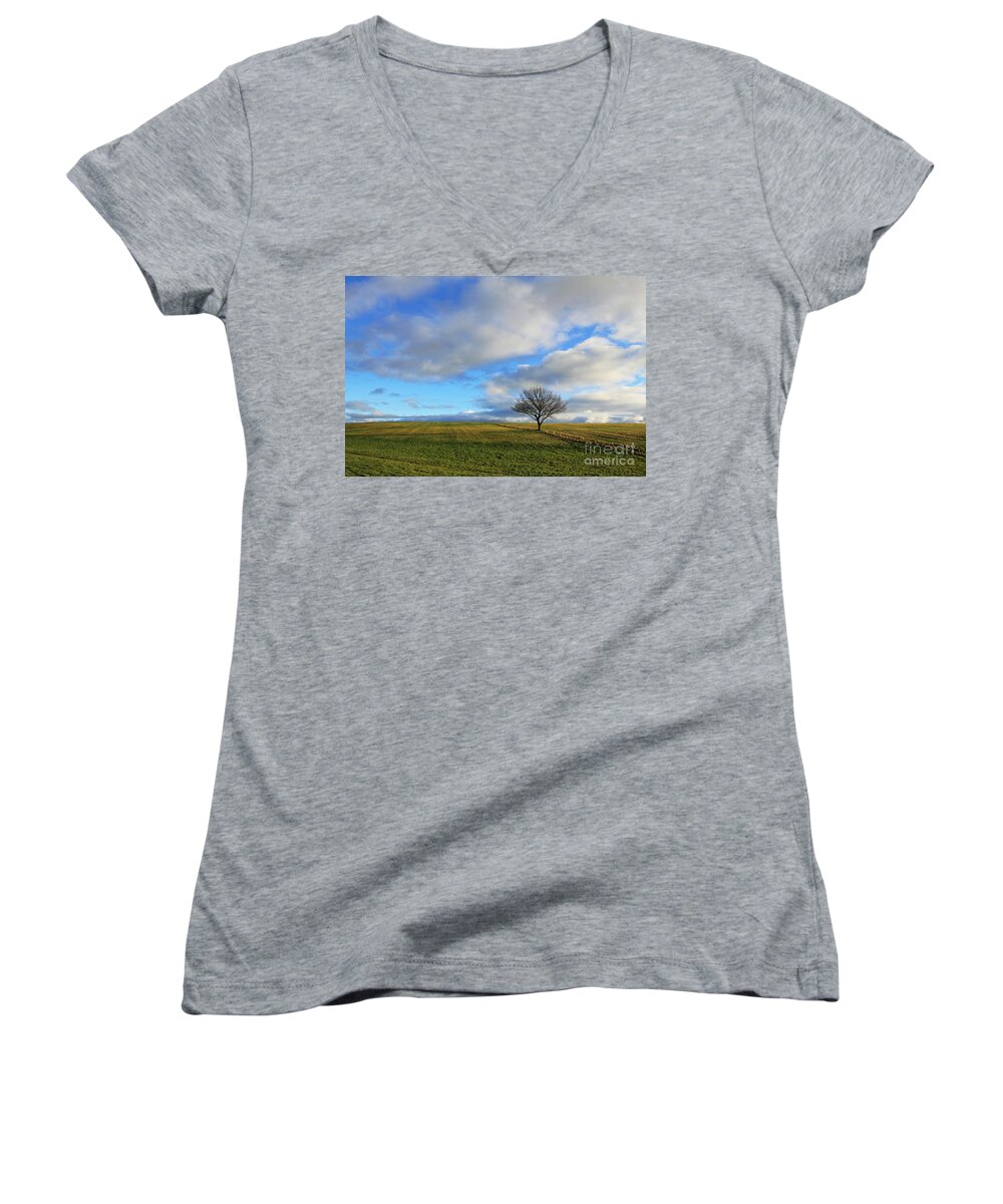 Epsom Downs Surrey England Uk English Countryside Landscape British Lone Tree Grass Hill Hillside Slope Fluffy Clouds Pretty Winter Day Dusk Green Blue Sky Stark Women's V-Neck featuring the photograph Lone tree at Epsom Downs UK by Julia Gavin