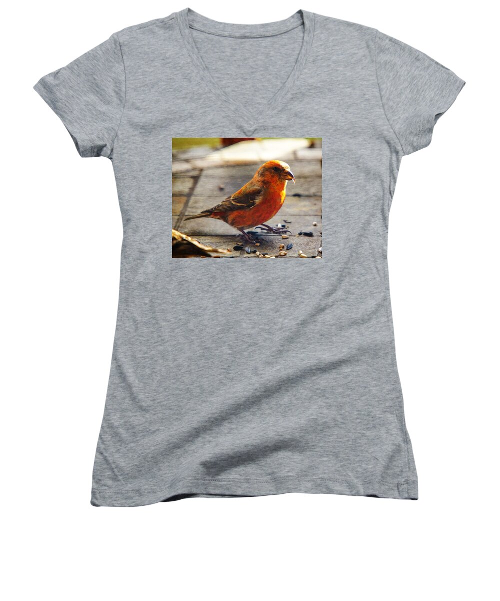 Red Crossbill Women's V-Neck featuring the photograph Look - I'm a Crossbill by Robert L Jackson
