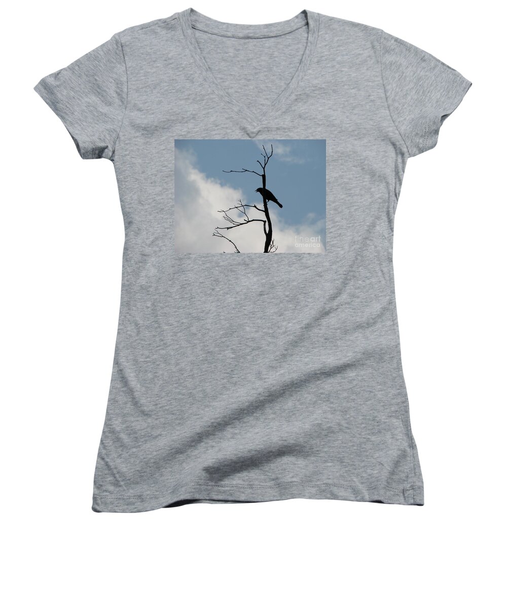 Bird Women's V-Neck featuring the photograph Looking Down On Me by Michael Krek
