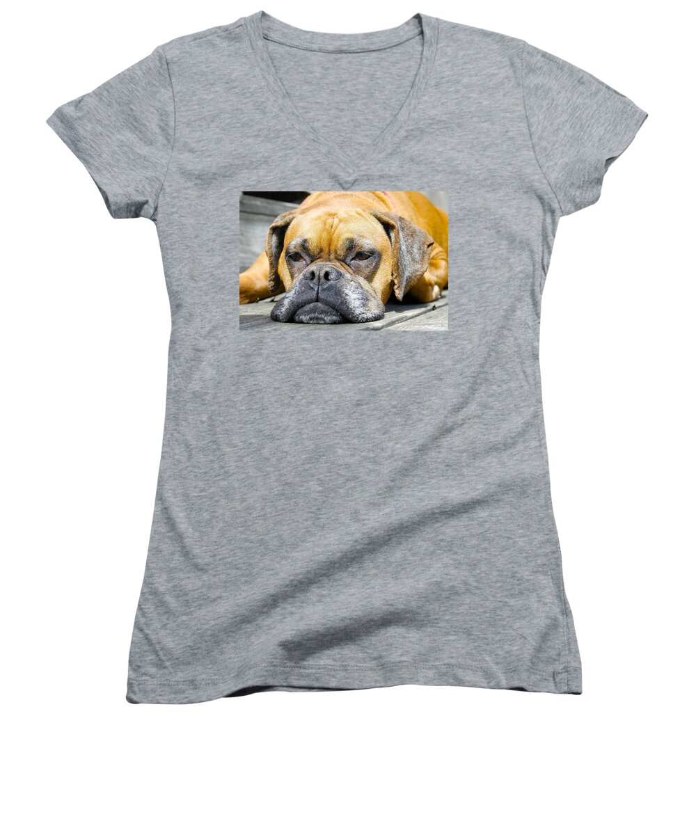 Boxer Women's V-Neck featuring the photograph Macy's Lazy Days by Jeff Mize