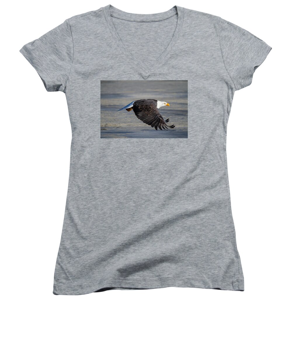 Bald.male Women's V-Neck featuring the photograph Male wild bald eagle ready to land by Eti Reid