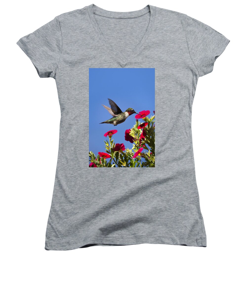Hummingbird Women's V-Neck featuring the photograph Moments of Joy by Christina Rollo