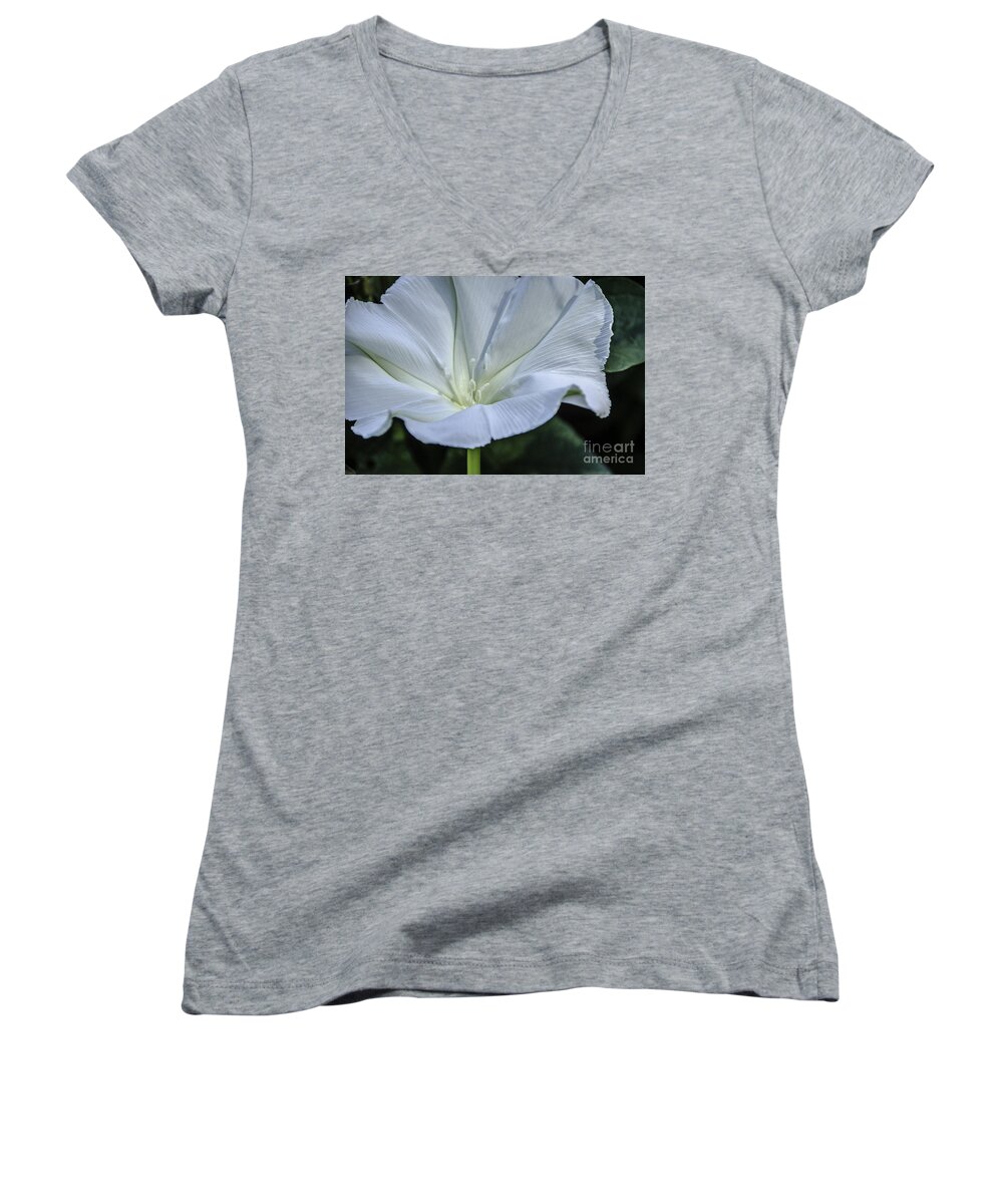 M.c. Story Women's V-Neck featuring the photograph Moonflower 1 by Mary Carol Story