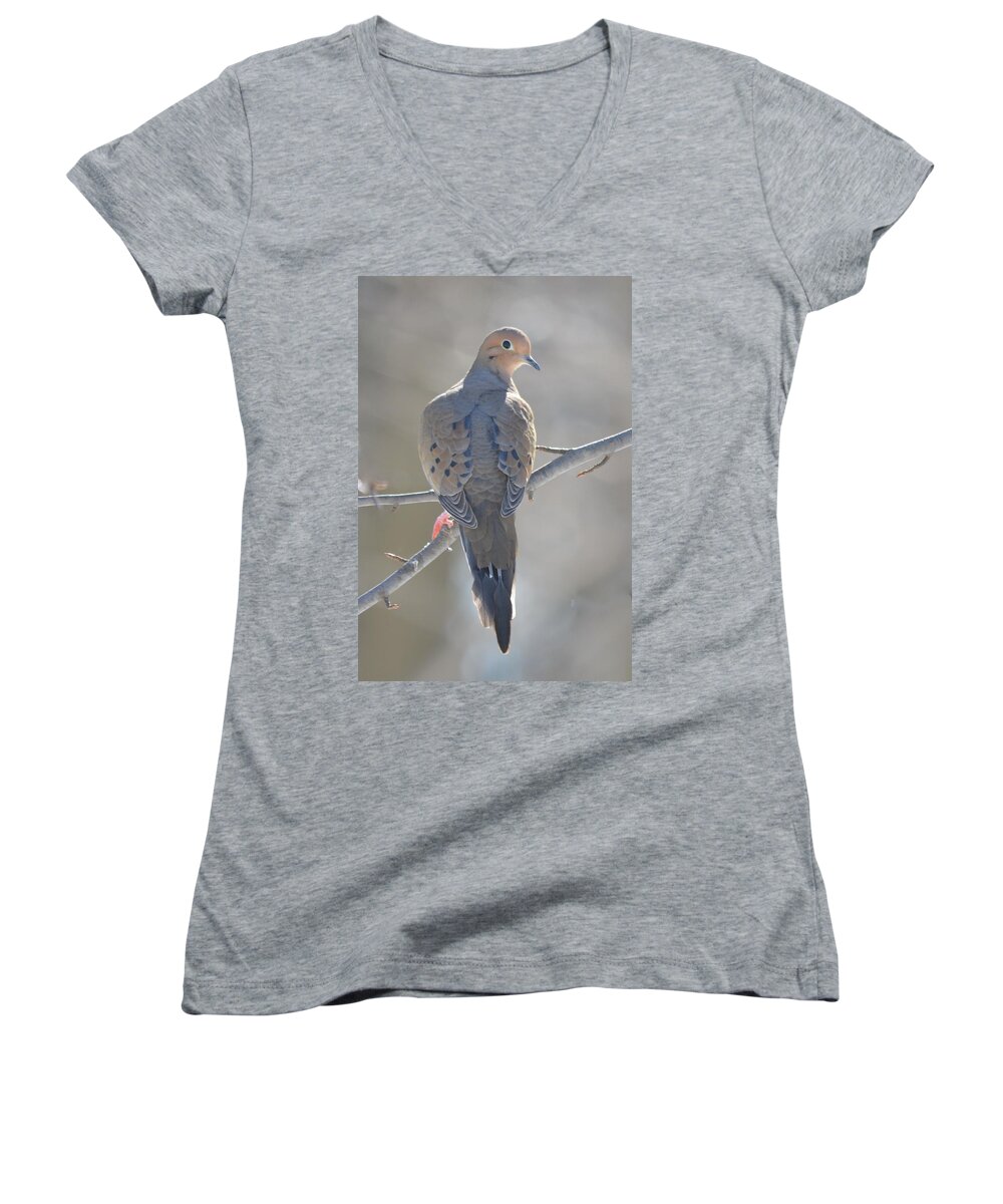 Morning Dove Women's V-Neck featuring the photograph Mourning Dove by Richard Bryce and Family